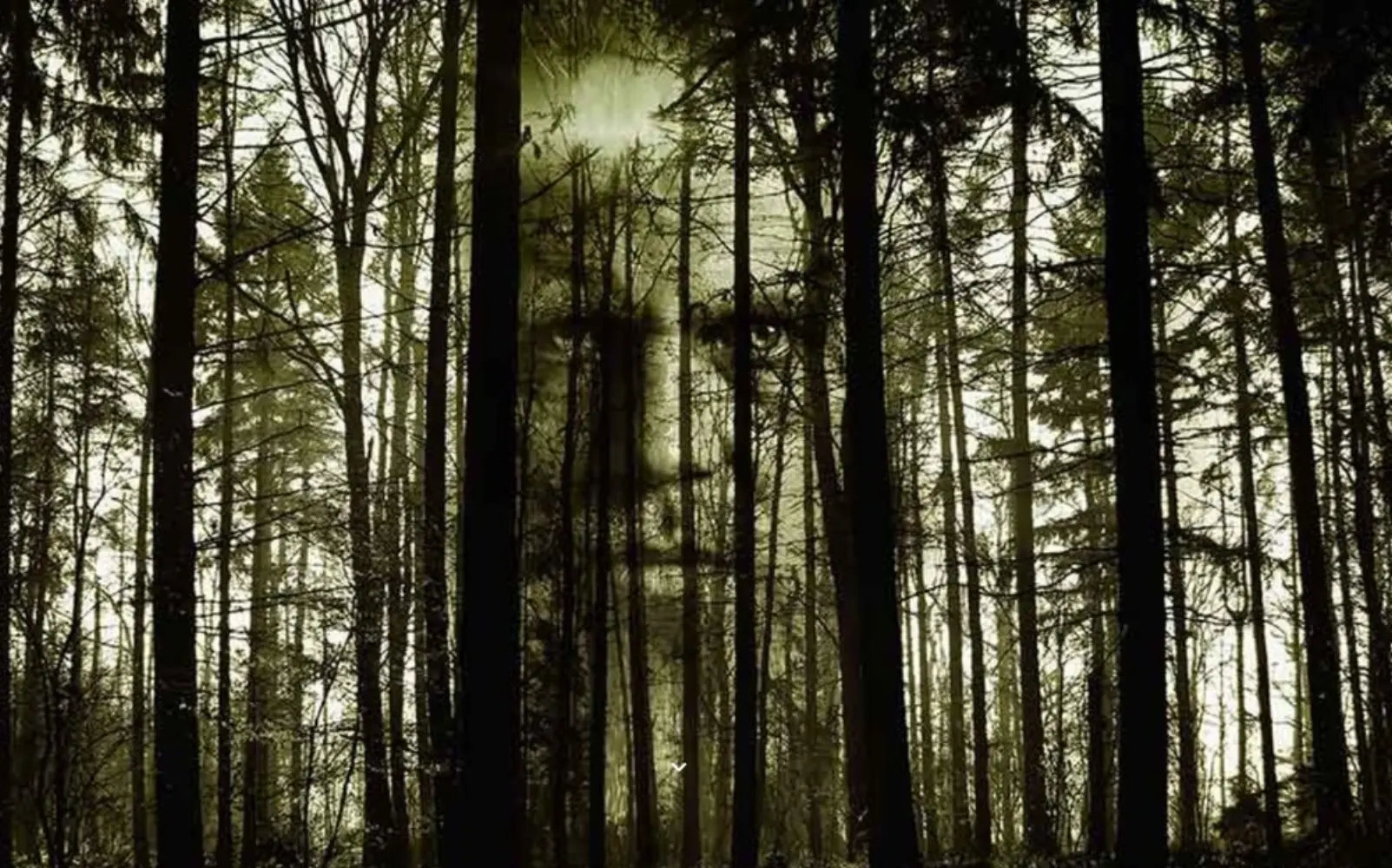 The Dark Dreams Marseille - MARSEILLE (Bouches-du-Rhône)