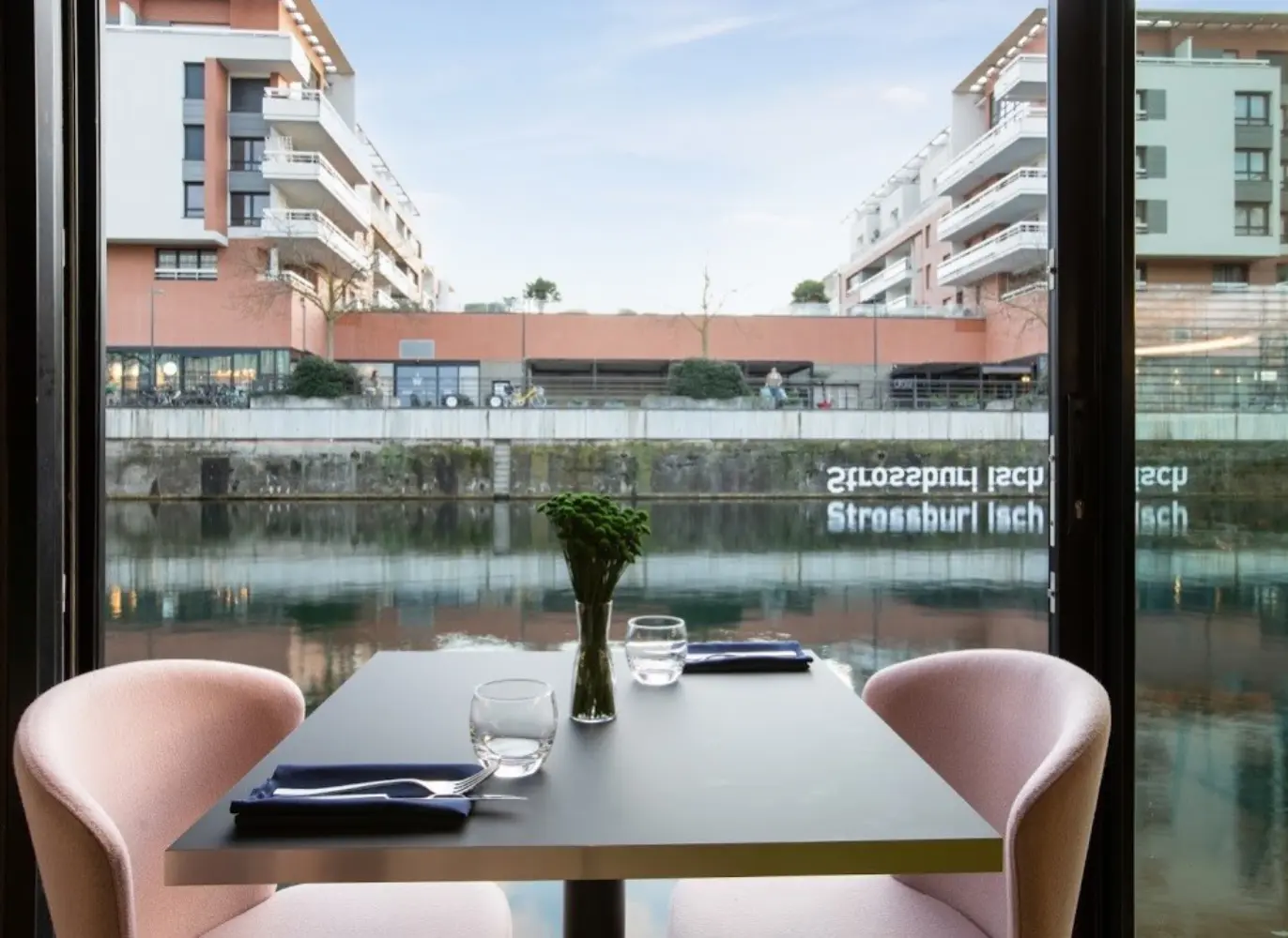 Blue Flamingo - STRASBOURG (Bas-Rhin)