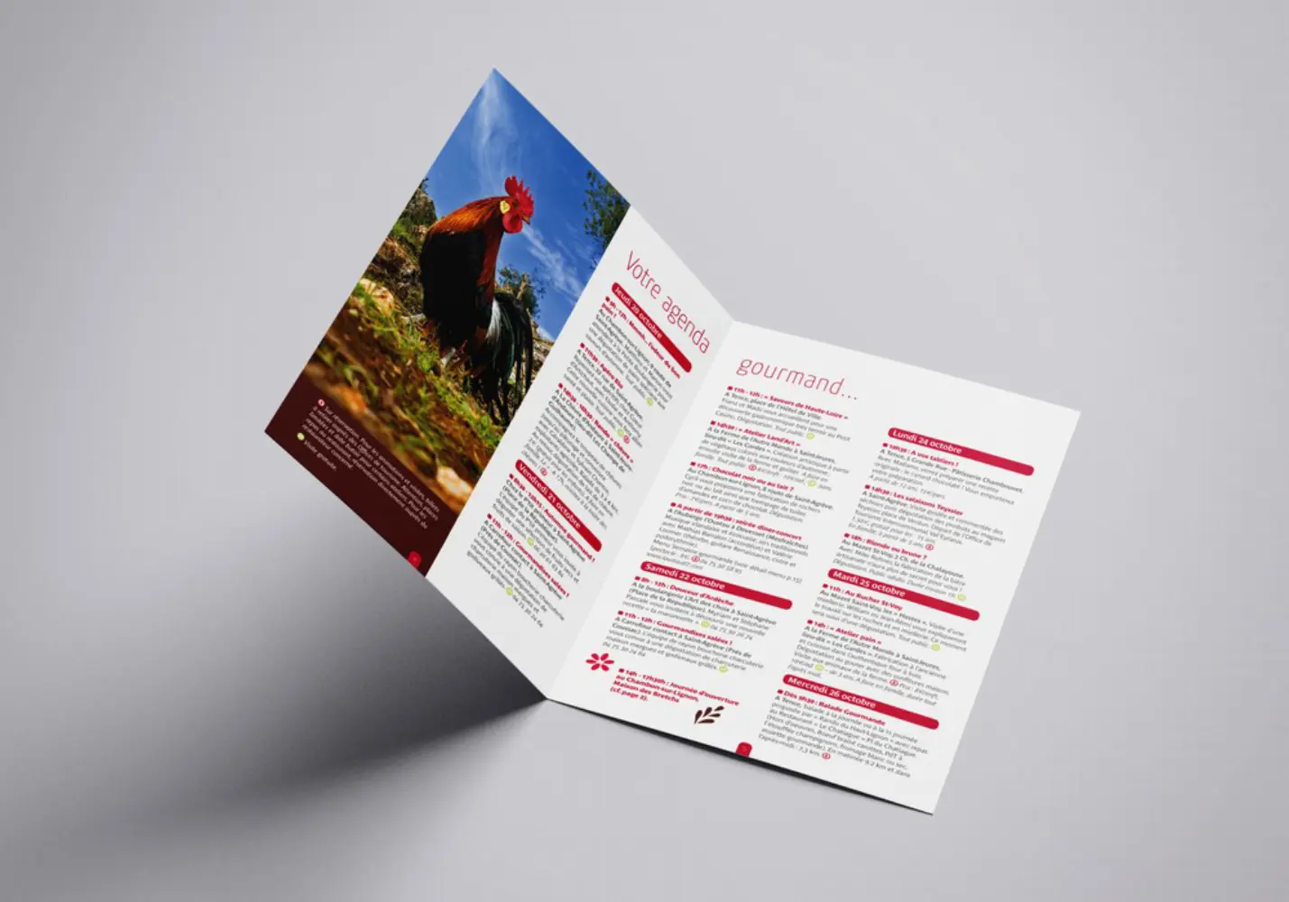 Studio N°3 - LE-PUY-EN-VELAY (Haute-Loire)