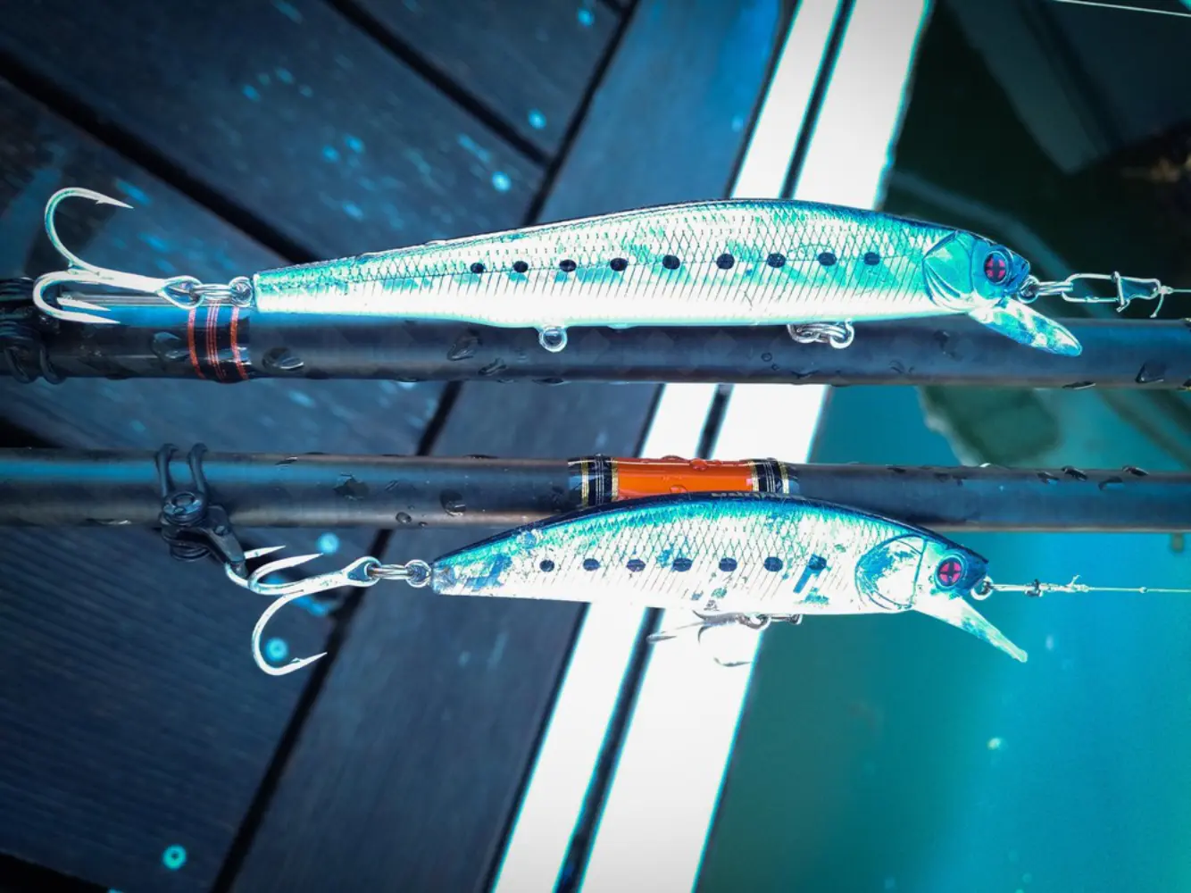 Lorient Passion Pêche - SAINTE-HELENE-SUR-MER (Morbihan)