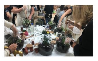 Fabrication de Terrarium - Paris (75)