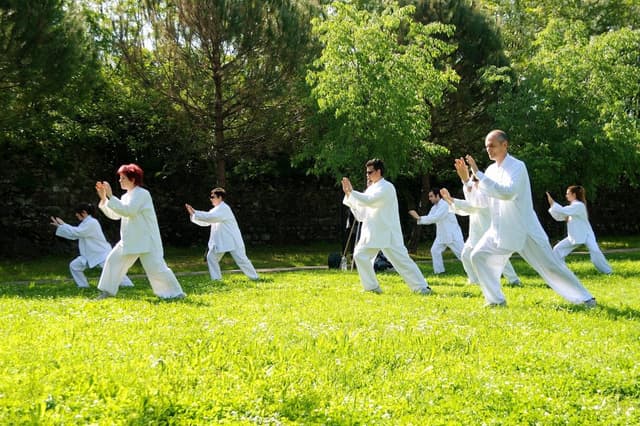 Qi Gong & Taï Chi Chuan & Yoga - Paris (75)