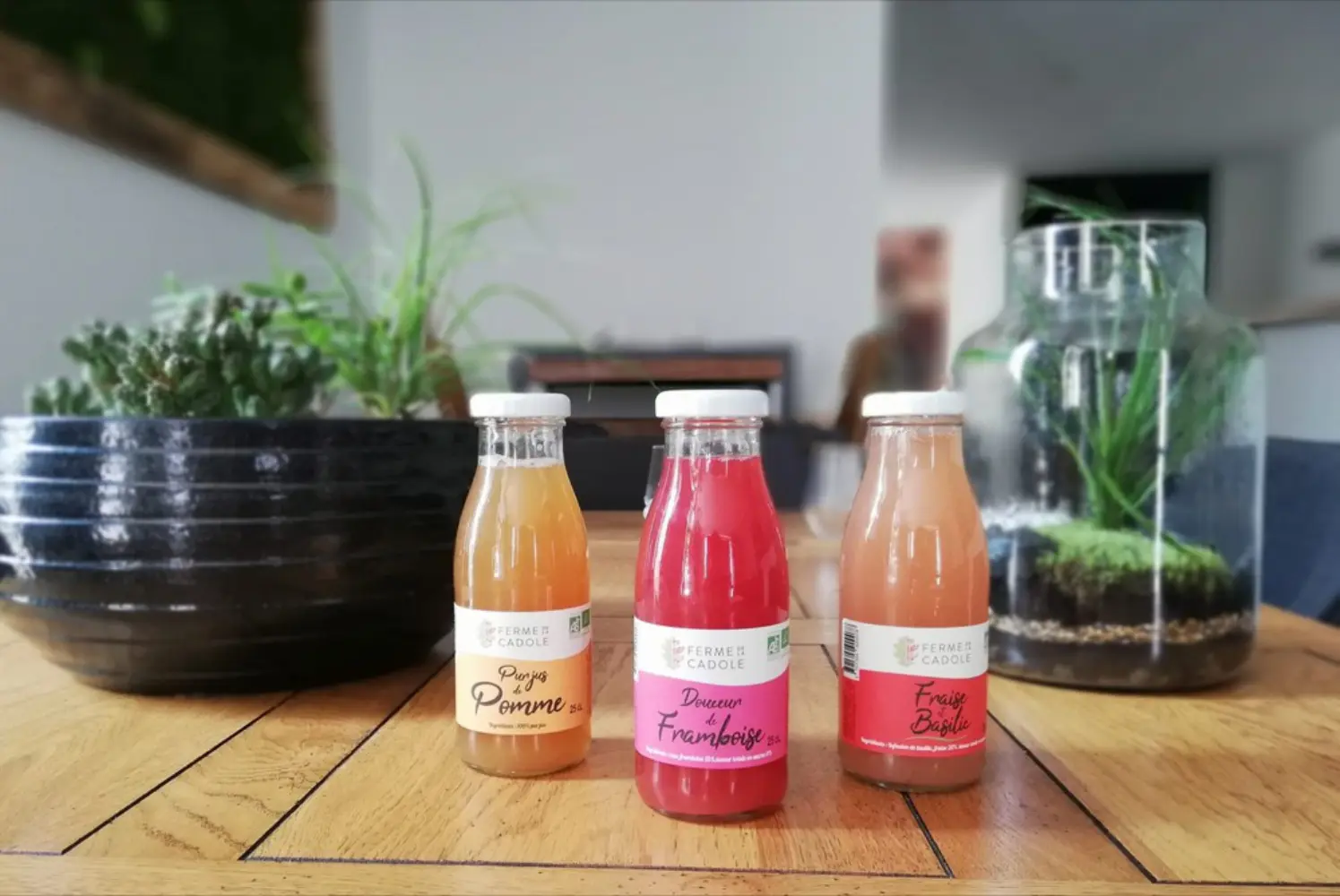 Scratch Restaurant - BOURG-EN-BRESSE (Ain)