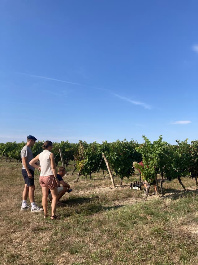 Mission Art et Vin - Chasse au trésor dans les vignes - LOIRE-AUTHION (49)