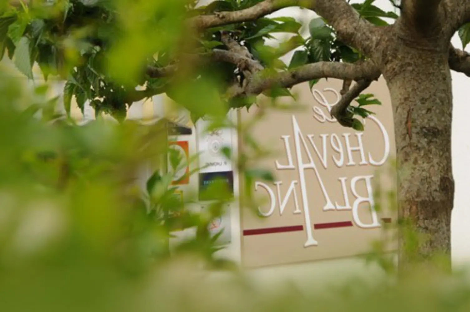 Auberge du Cheval Blanc Luxe - LUXE (Charente)