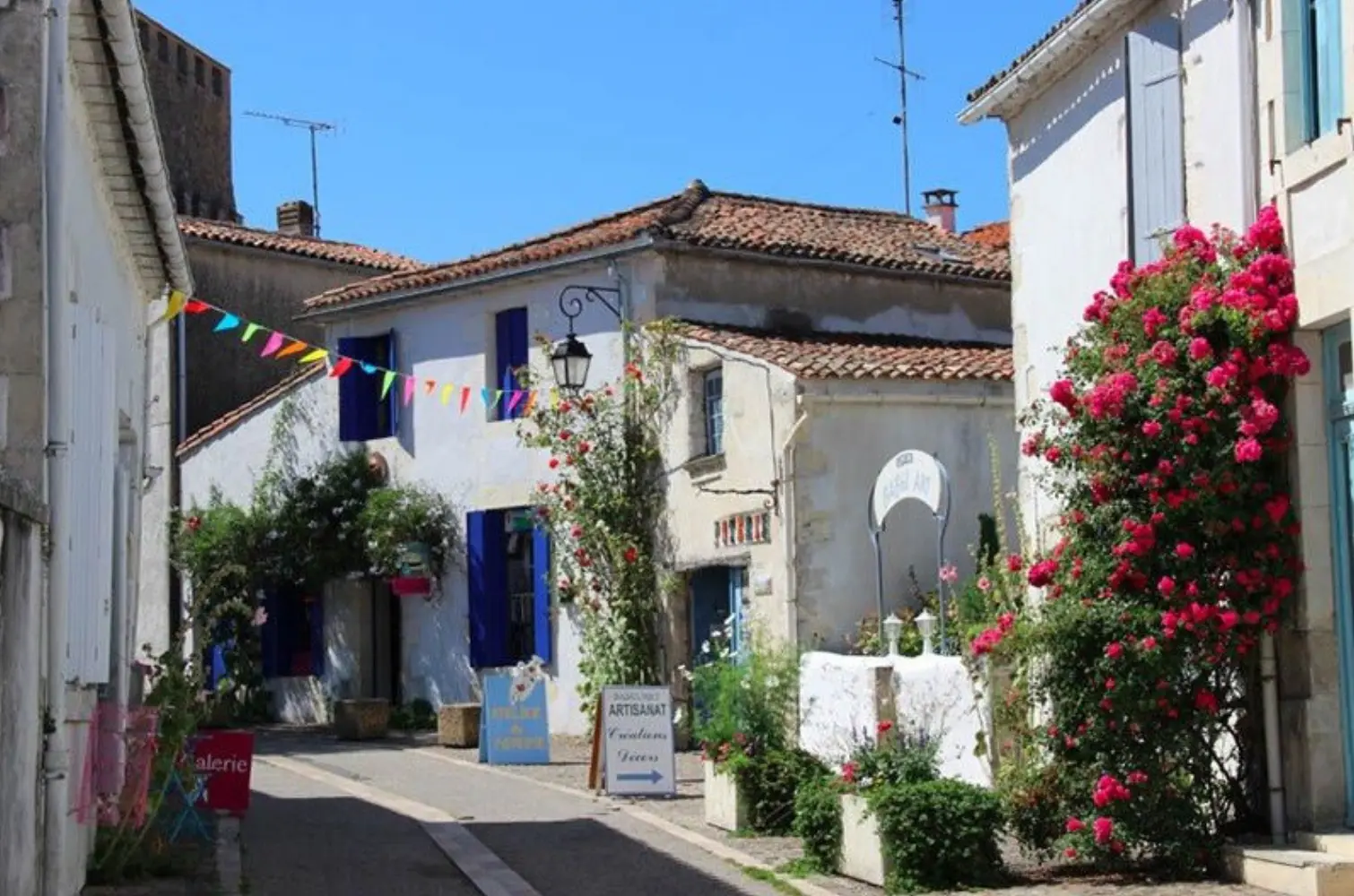 Les Basses Amares - MORNAC-SUR-SEUDRE (Charente-Maritime)