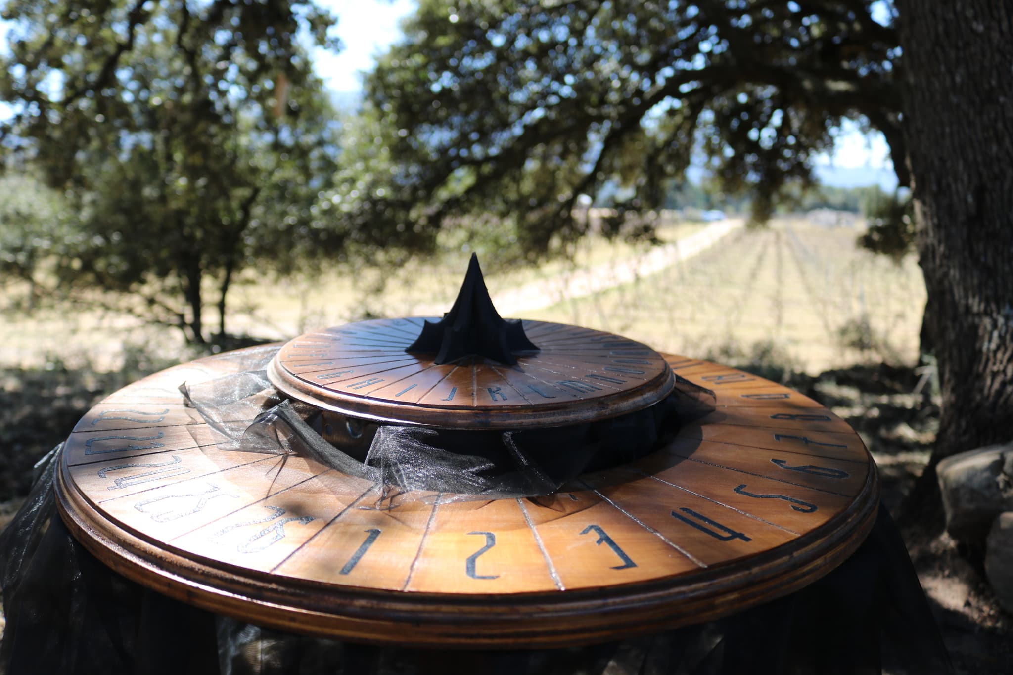 Escape game grandeur nature et dégustation des vins du domaine - Gignac-la-Nerthe (13)