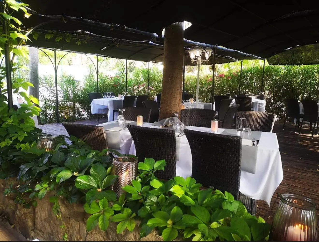 La Terrasse d'Olivier - LA BASTIDONNE (Vaucluse)