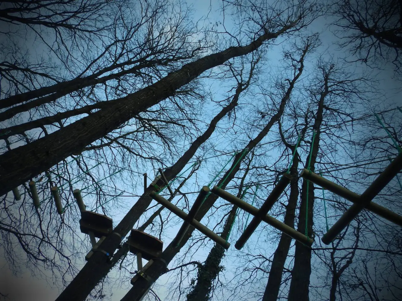 Saumur Forest Aventures - SAUMUR (Maine-et-Loire)