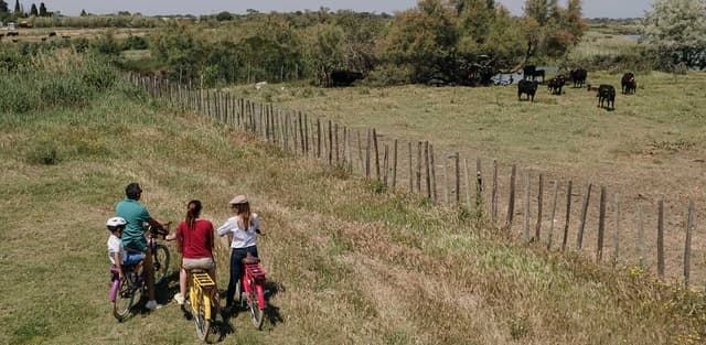 Excursion Vélo - LE GRAU-DU-ROI (30)