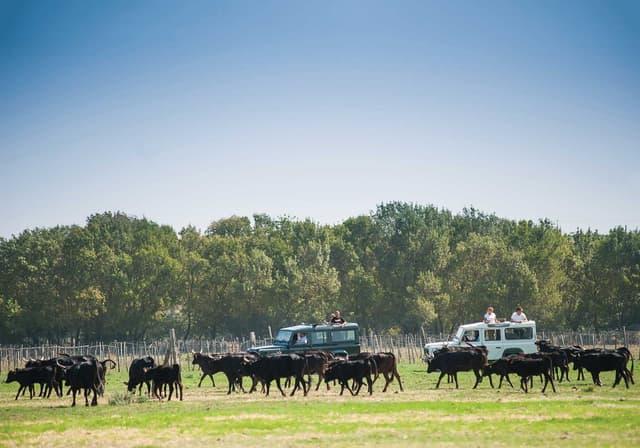 Chasse au trésors en 4X4 ou vélo électrique - LE GRAU-DU-ROI (30)