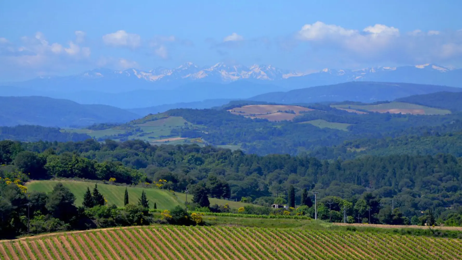 Domaine Saint-Martin - LEUC (Aude)