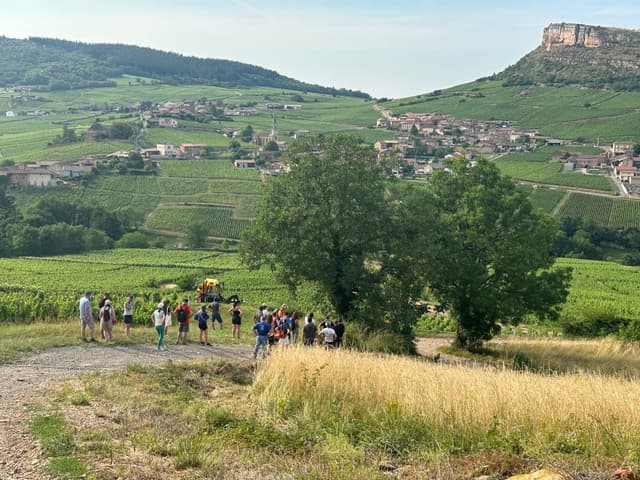 Randonnée ludique - SAINT-VULBAS (01)