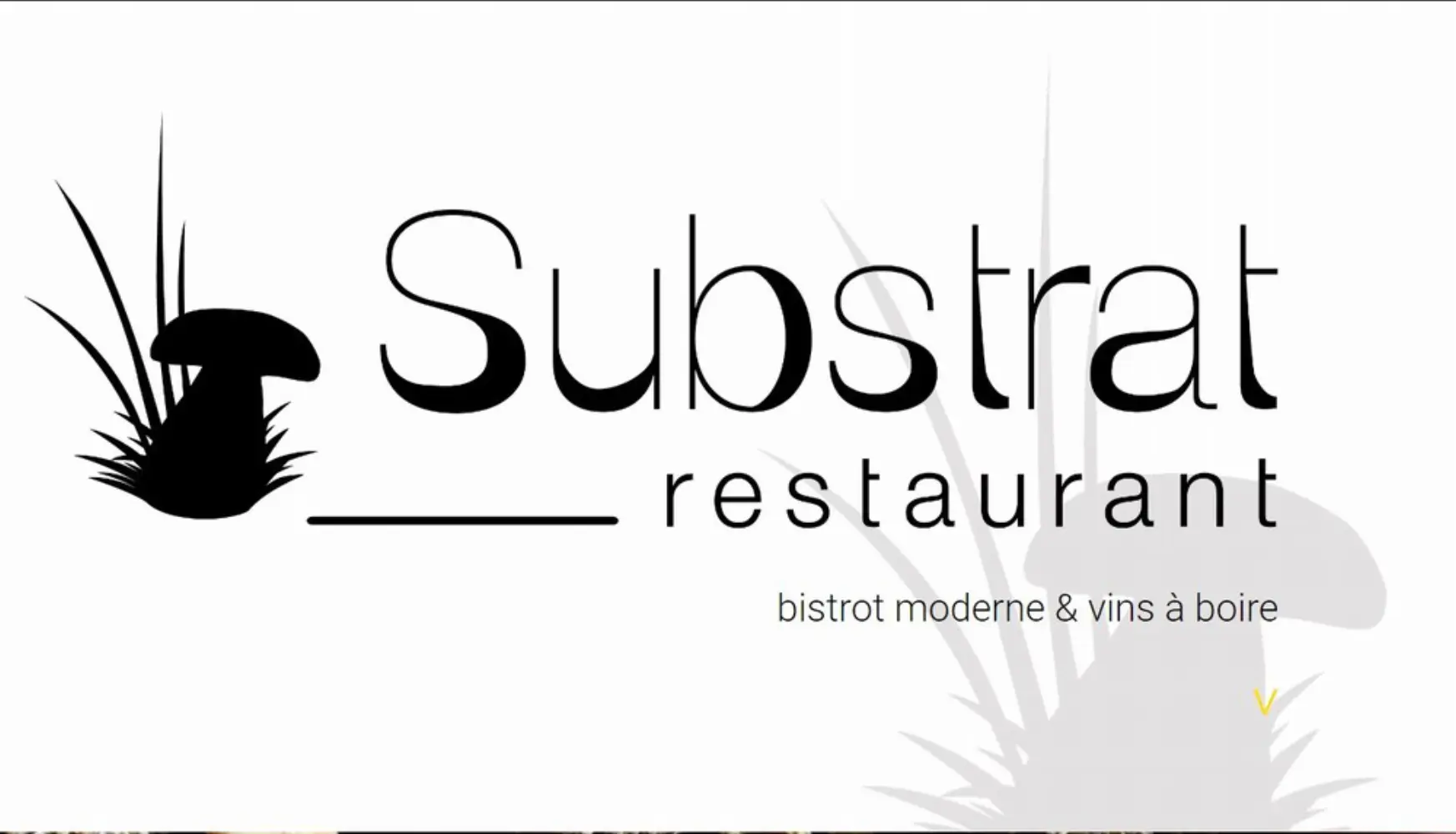 Substrat Restaurant - LYON (Rhône)