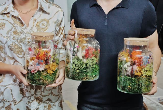 Terrarium Vivant - LES LILAS (93)