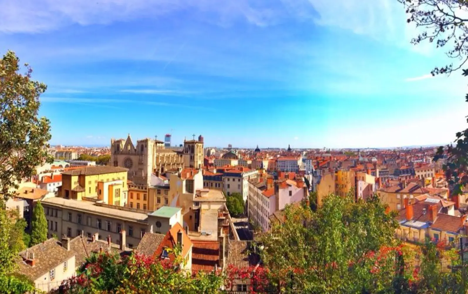 Anne Prost - LYON (Rhône)