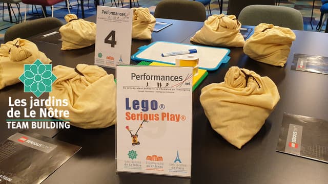 Lego® SERIOUS PLAY® - VIROFLAY (78)