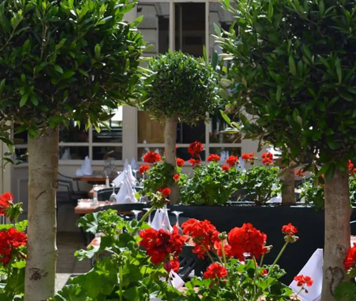 Brasserie du Théâtre - MONTPELLIER (Hérault)