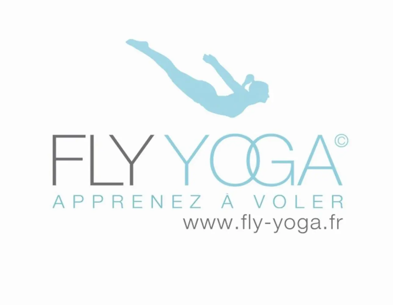 Fly Yoga - PARIS (Paris)