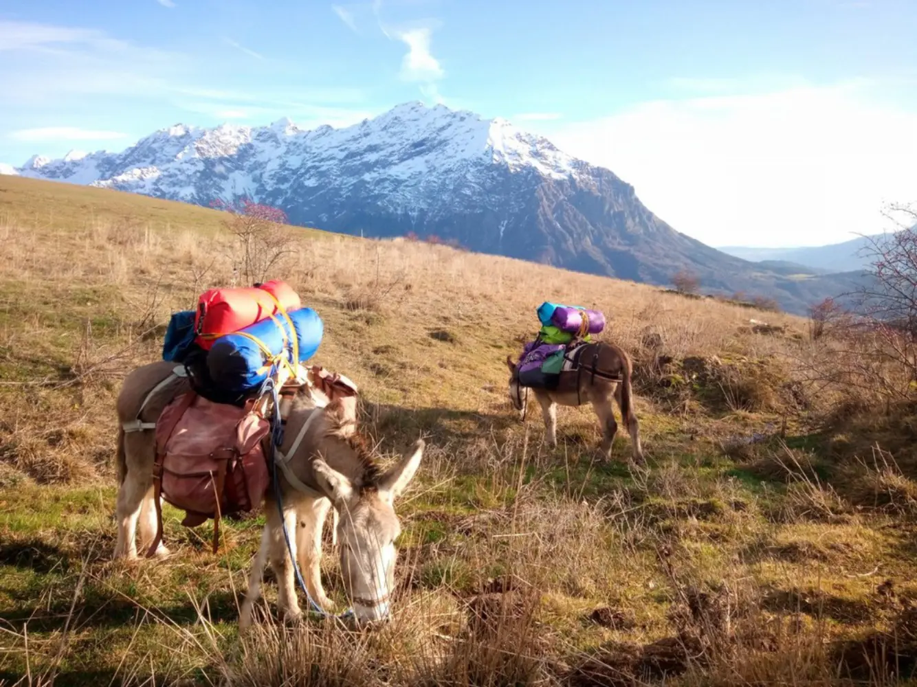 Valgod'Âne : Randonnée et Bivouac - ANCELLE (Hautes-Alpes)