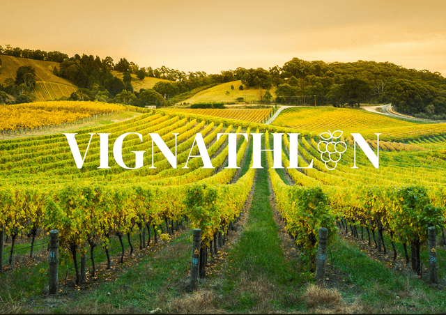 Vignathlon - FLAYOSC (83)