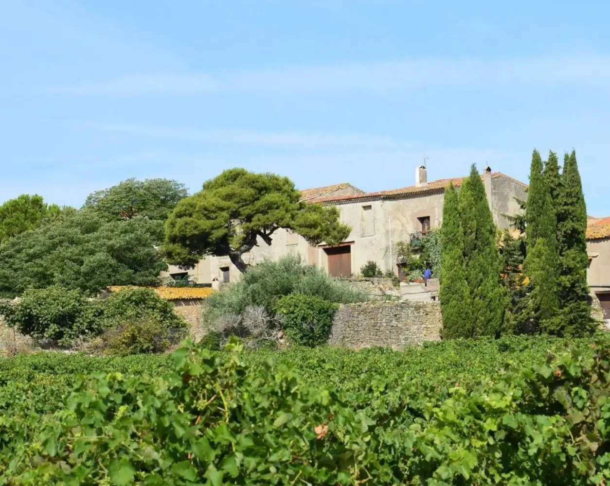 Domaine d'Hondrat - VILLEVEYRAC (Hérault)