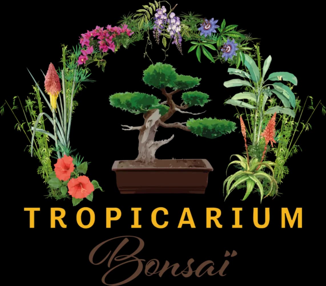 Tropicarium Bonsaï - LA BAULE (Loire-Atlantique)