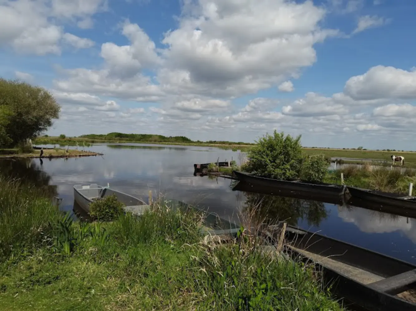 Anthony MAHE - SAINT-ANDRE-DES-EAUX (Loire-Atlantique)