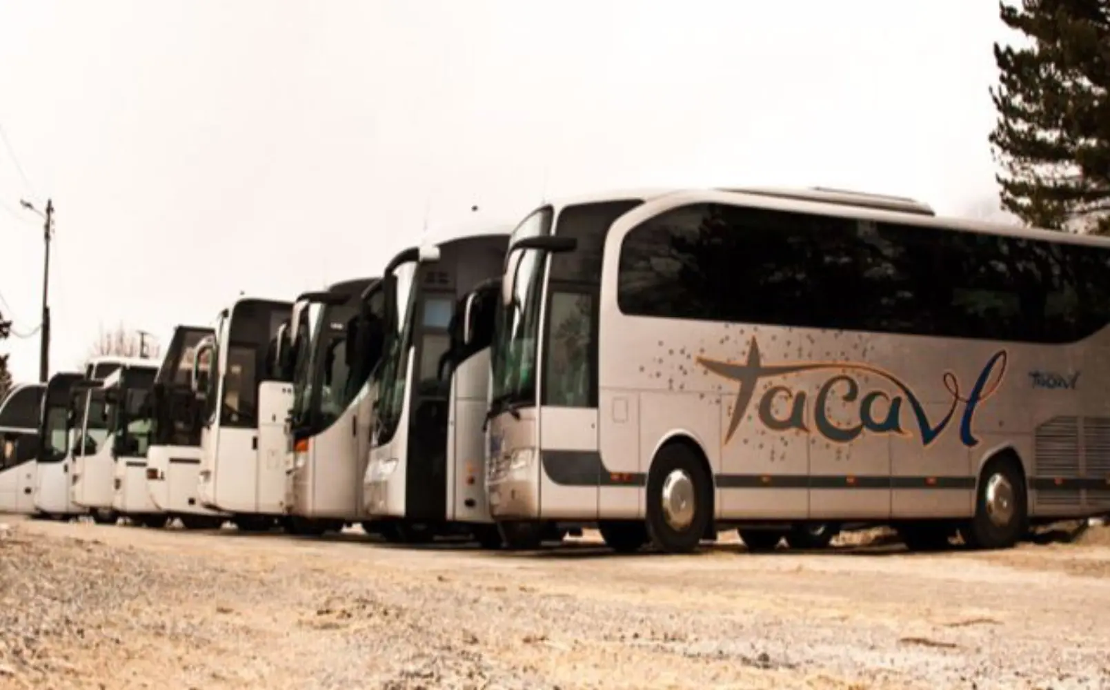 Tacalv - CHATEAUNEUF (Alpes-Maritimes)