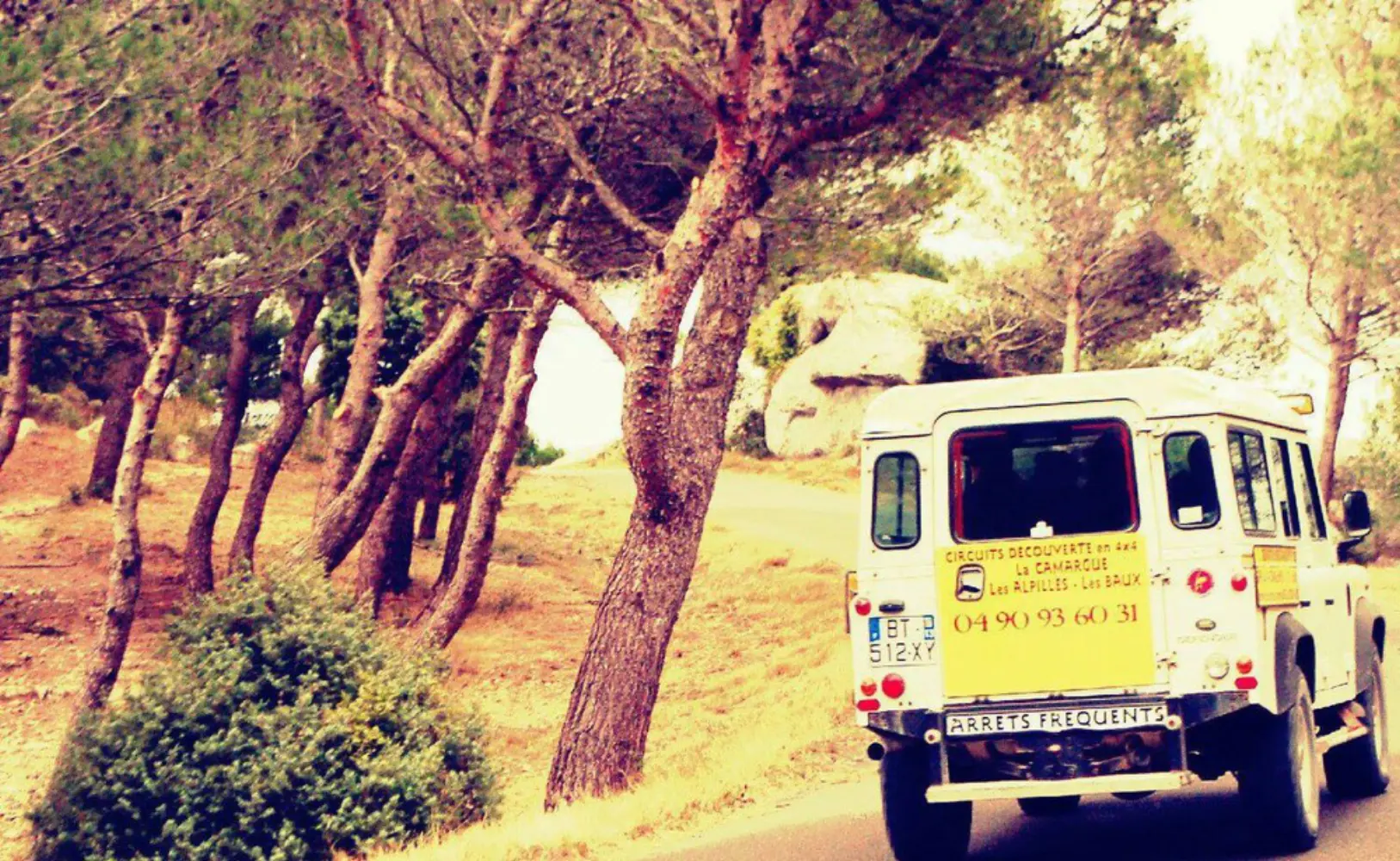 Camargue Alpilles Safaris - ARLES (Bouches-du-Rhône)