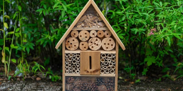 Bâti-coeur challenge - SAINT-ARNOULT (14)