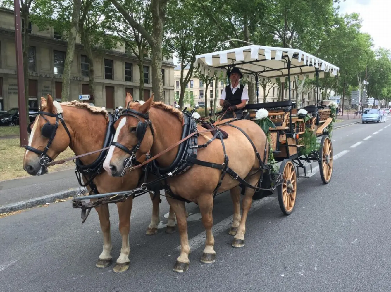 Les Calèches de Versailles - VERSAILLES (Yvelines)