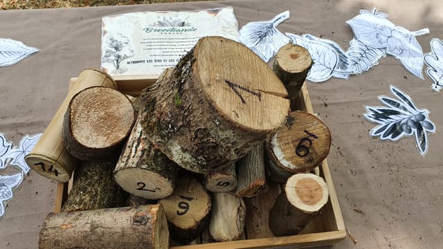 ECO’Libri - Saint-Arnoult-en-Yvelines (78)