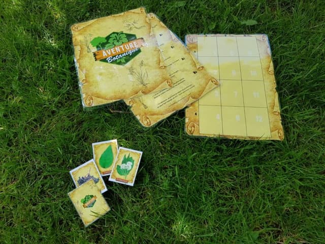 Aventure Botanique, Les Plantes Sauvages - Saint-Arnoult-en-Yvelines (78)