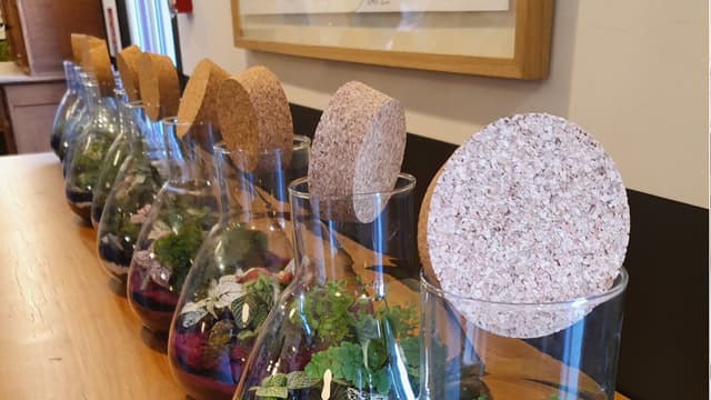 Atelier Terrarium - Saint-Arnoult-en-Yvelines (Yvelines)