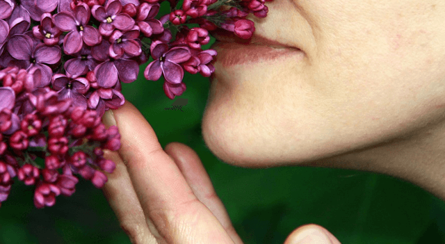 Balade des 5 Sens - Saint-Arnoult-en-Yvelines (78)