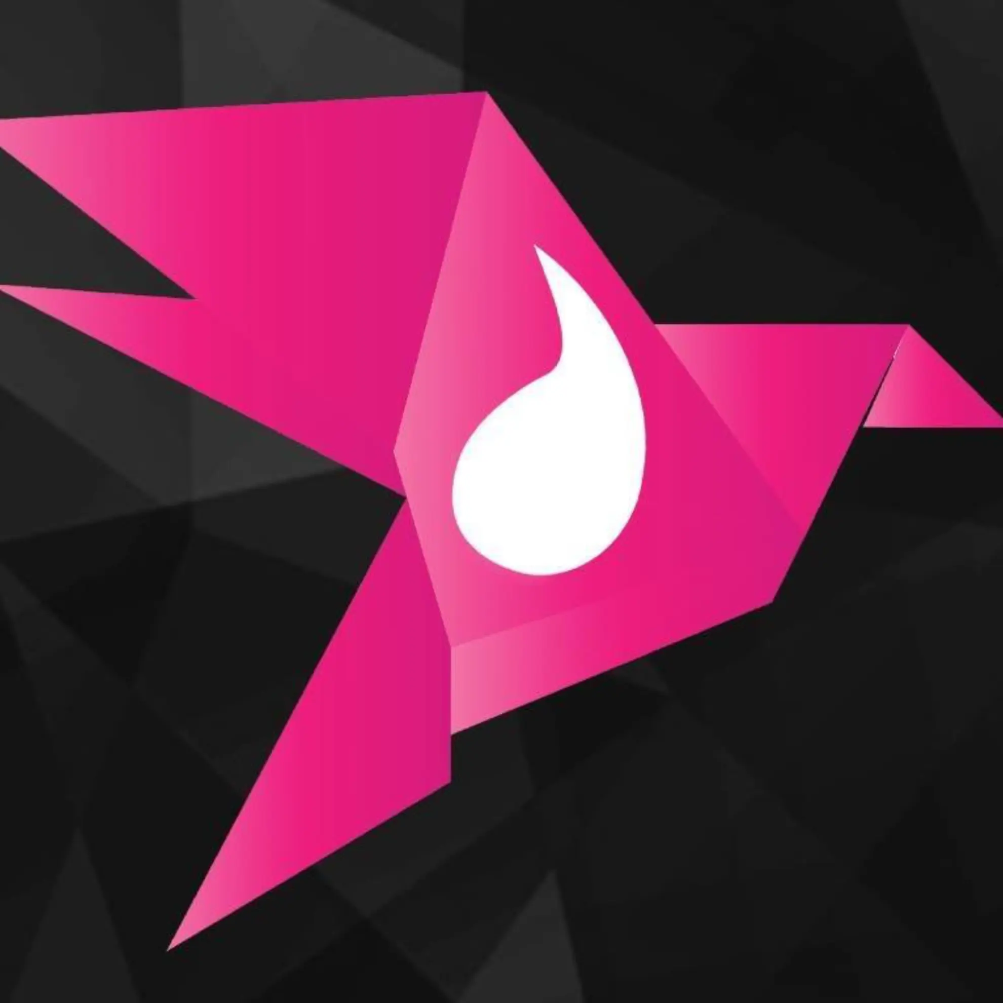 Taos Event - Saint-Arnoult-en-Yvelines (Yvelines)