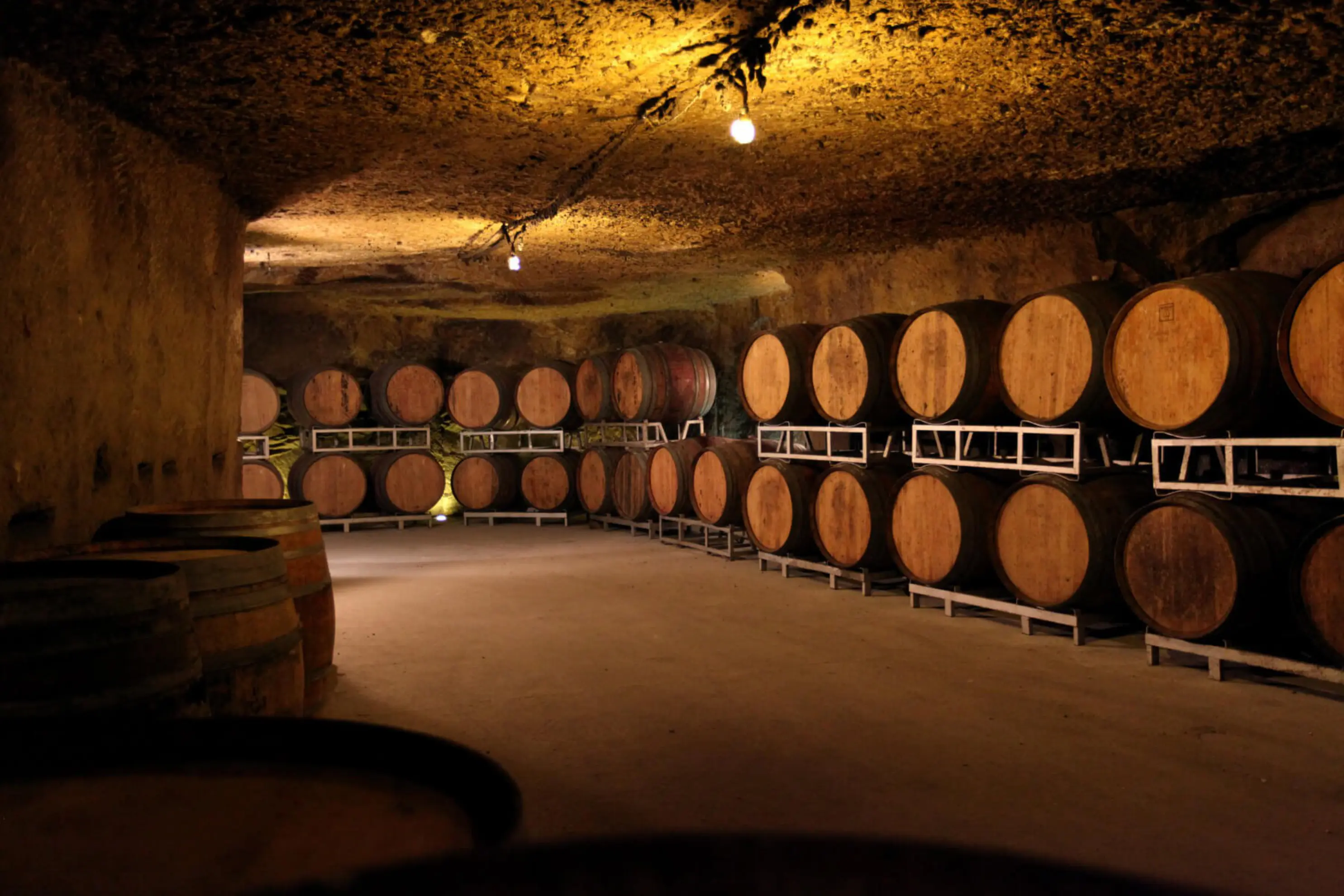 Caves M Plouzeau - Chinon (Indre-et-Loire)