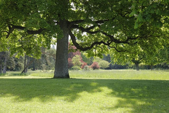 Atelier Land Art - CHAUMONT-SUR-LOIRE (41)
