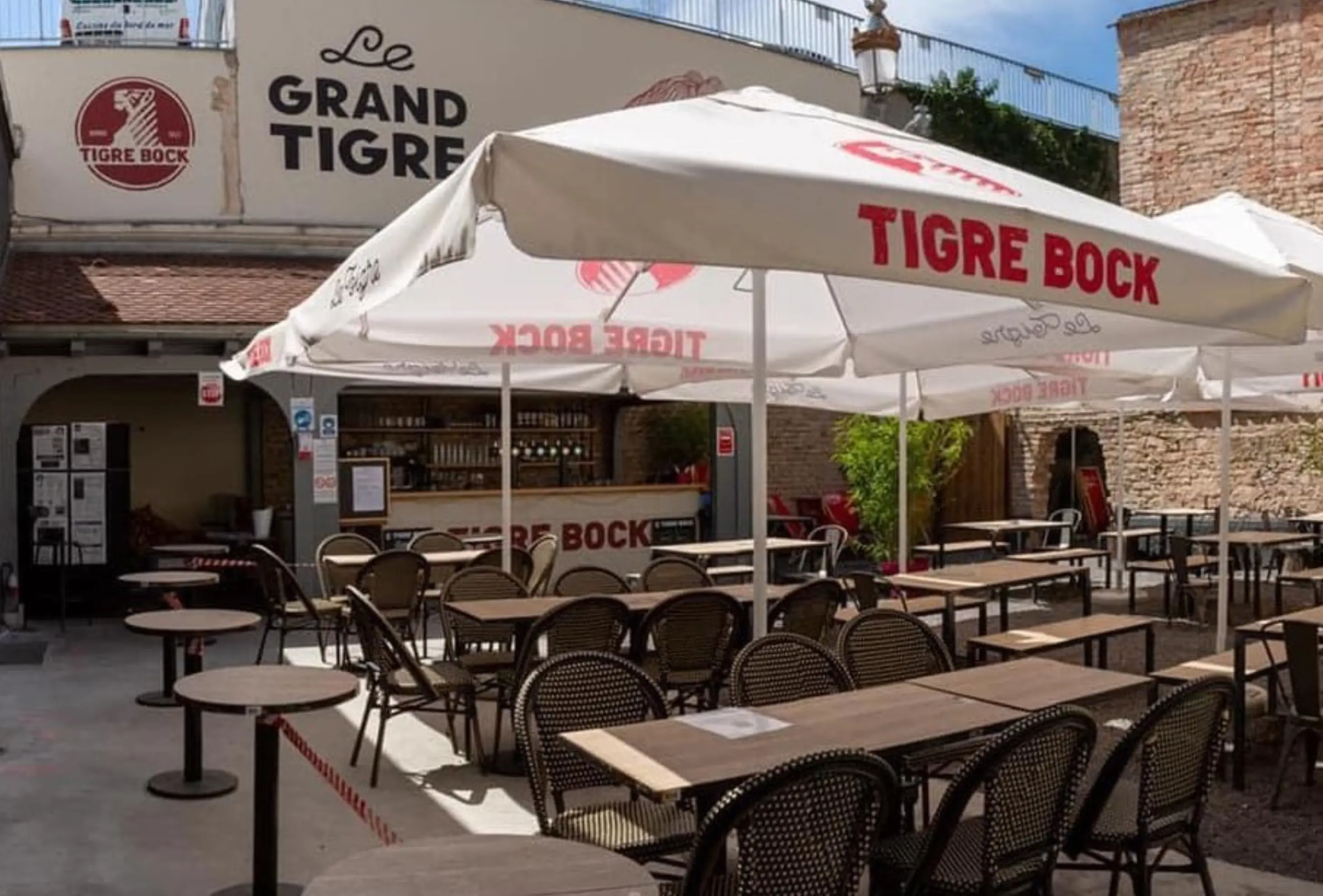 Le Tigre - Strasbourg (Bas-Rhin)