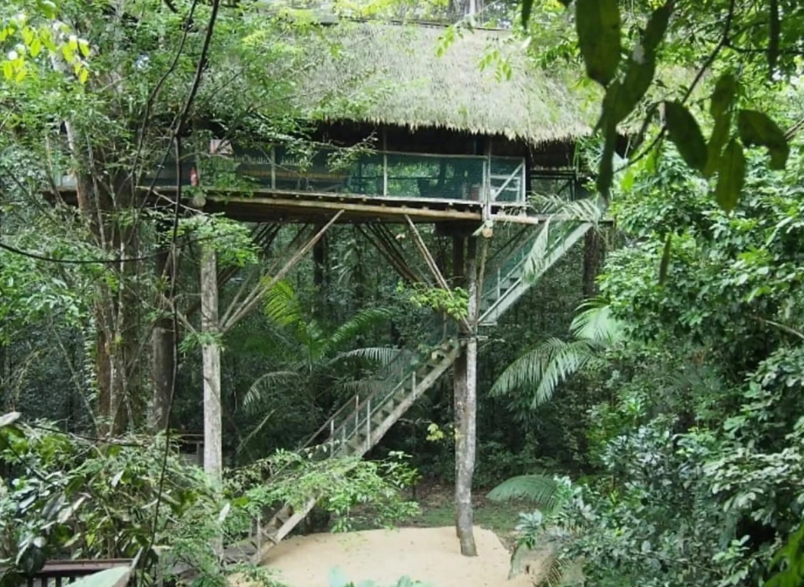 Canopée Guyane - KOUROU (Guyane)