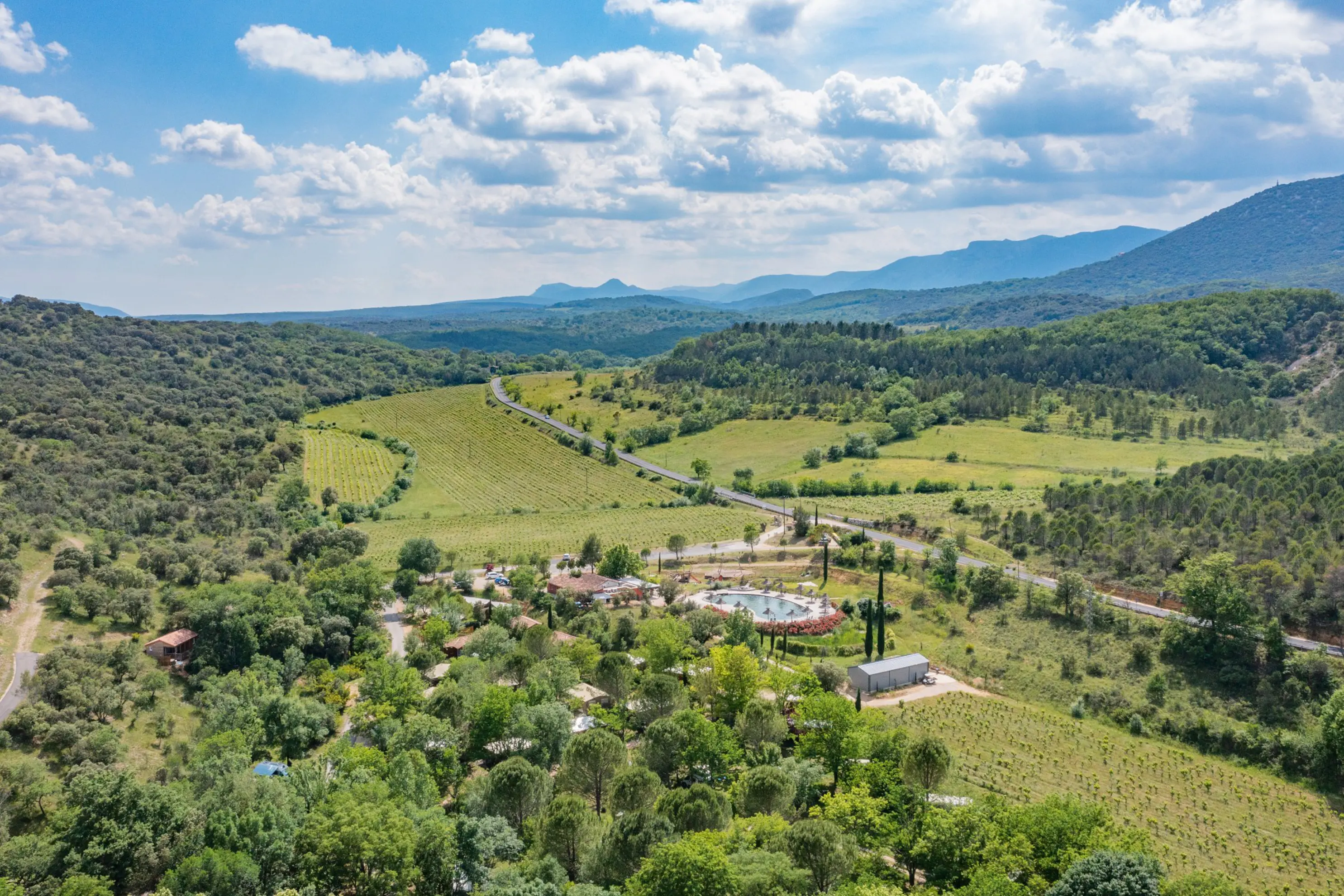 Domaine d'Anglas - BRISSAC (Hérault)
