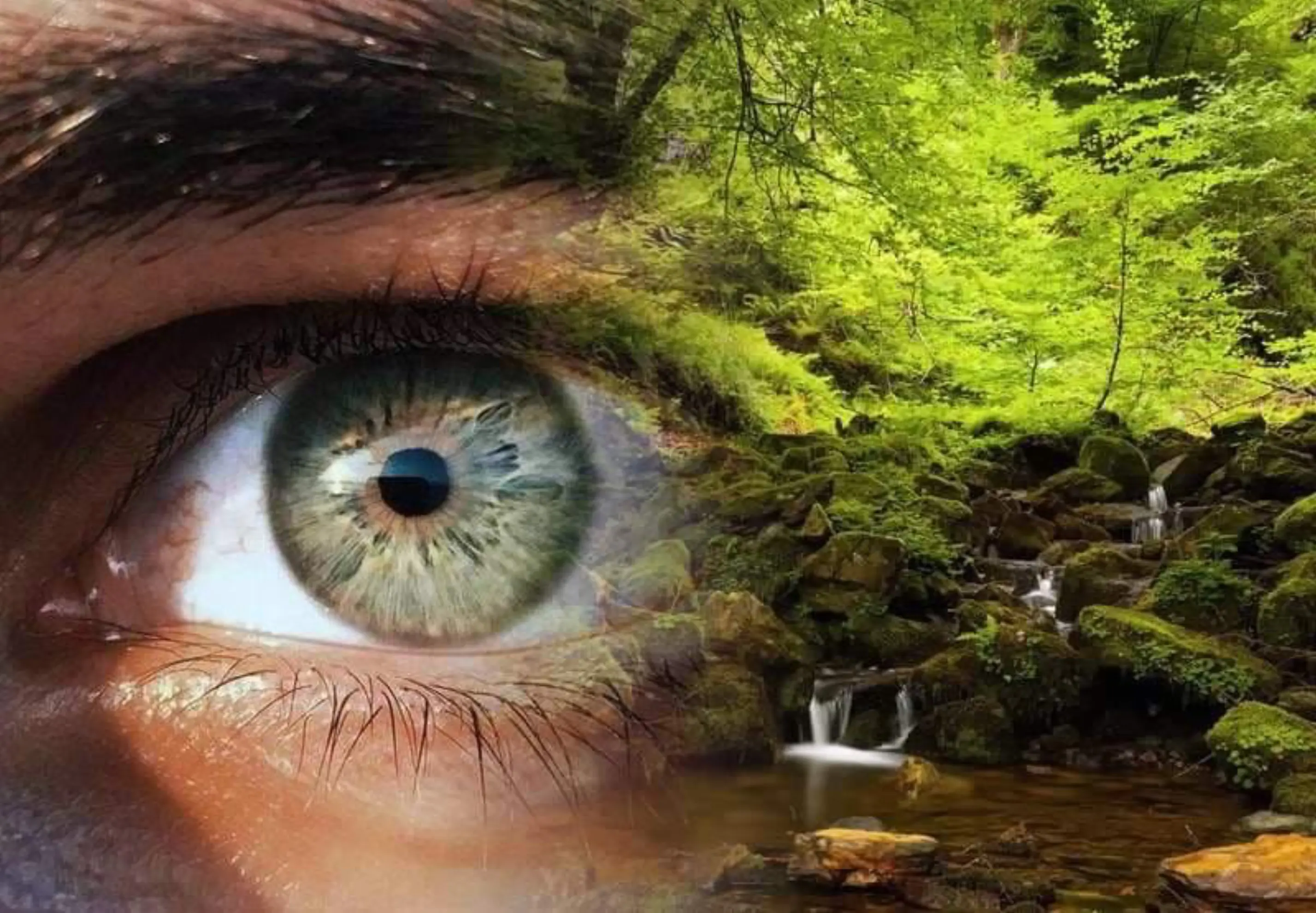 Médium Stéphane - Mauguio (Hérault)