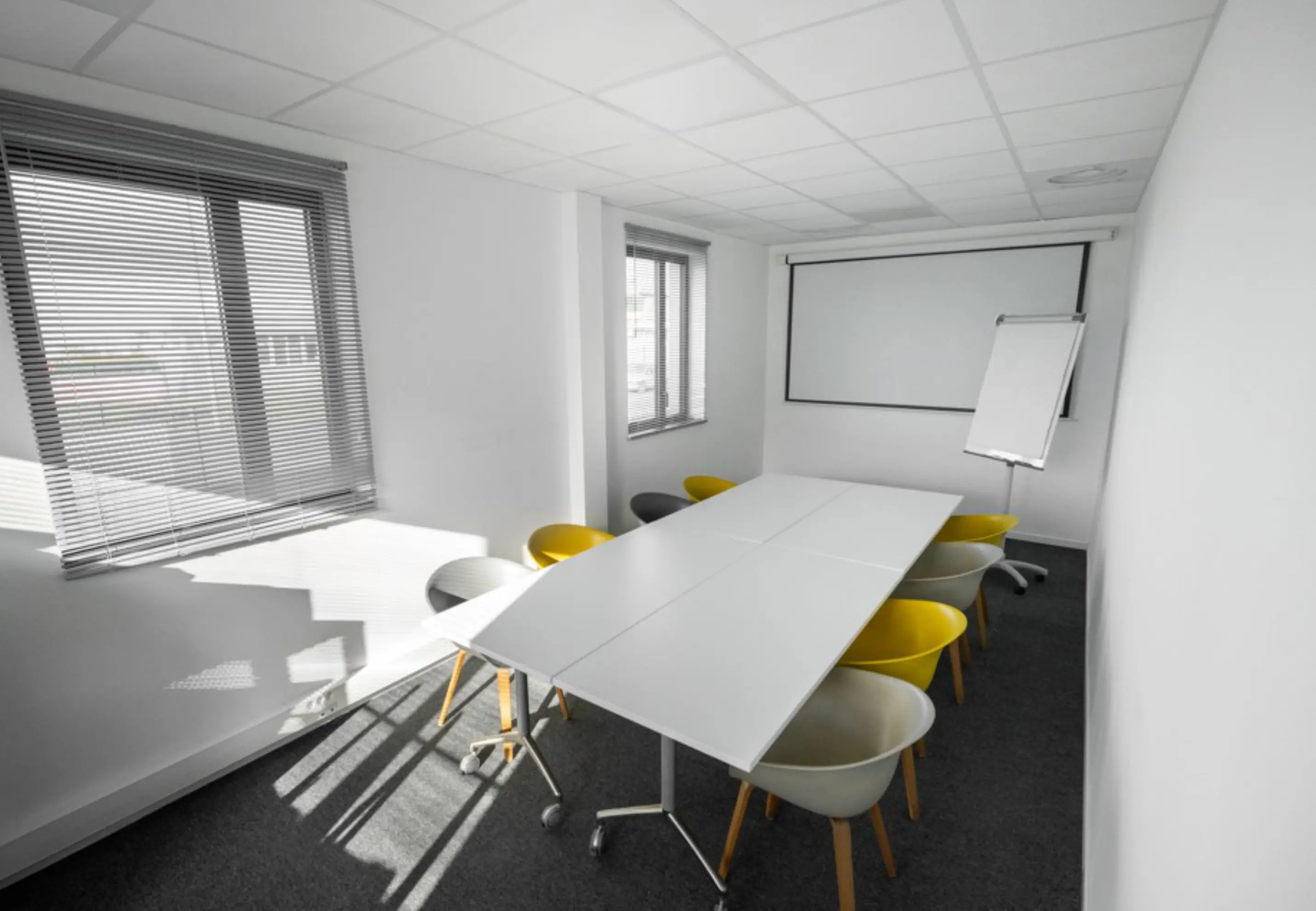 Canabae Studios - RILLIEUX LA PAPE (Rhône)