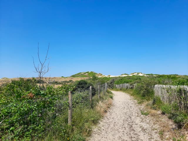 Randonnée mystère des Dunes du Royon - MIANNAY (80)