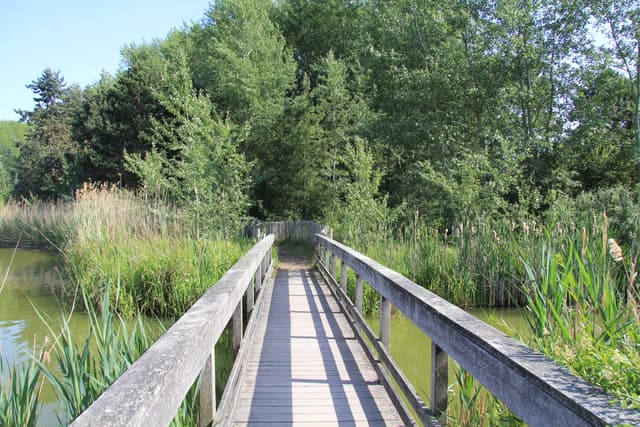 Chasse au trésor du Lac de Belle Dune - MIANNAY (80)