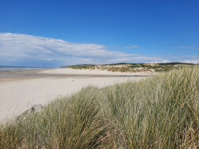 Chasse au trésor de Hardelot - MIANNAY (80)