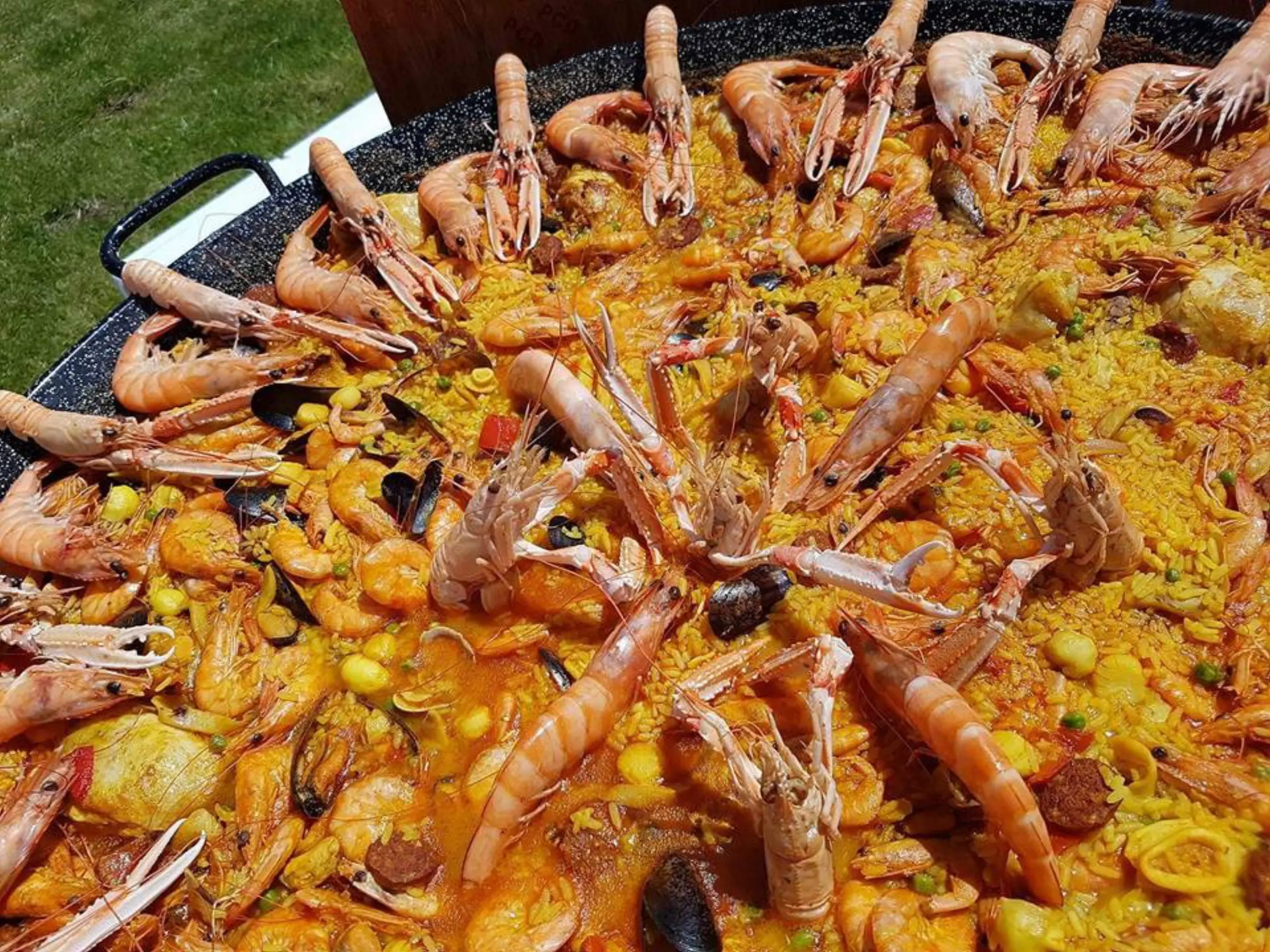 Papaella - AIX-EN-PROVENCE (Bouches-du-Rhône)