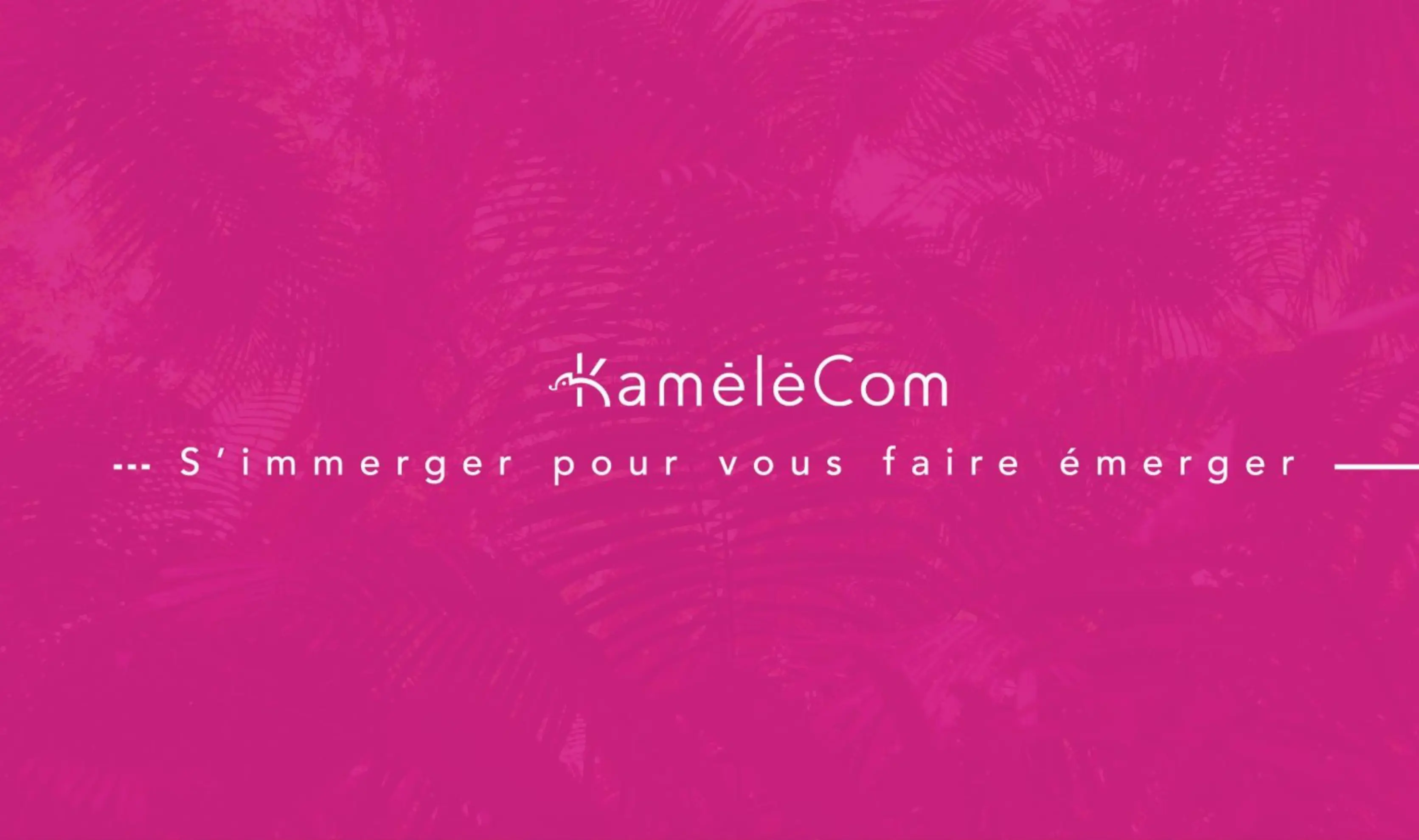 Kamélécom - FACHES-THUMESNIL (Nord)