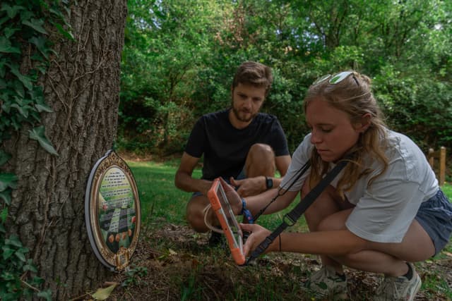 Activité : Chasse au trésor - LA JAILLE-YVON (Maine-et-Loire)